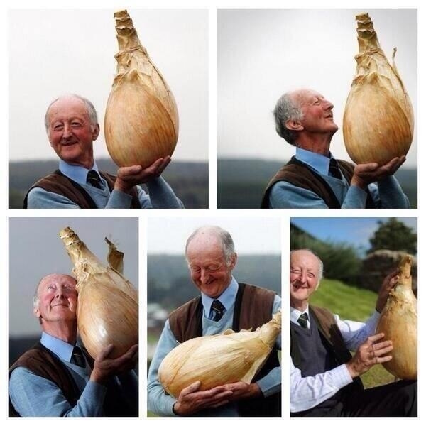 Happiness Unpeeled