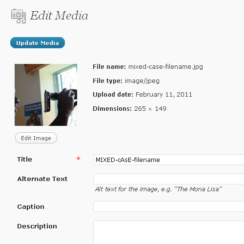 Confirm Lowercase Filename Confirm Lowercase Filename
